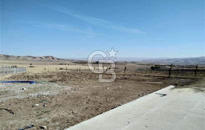 ALT YAPI VE ÇEVRE DÜZENLEMESİ YAPILMIŞ 500 m2 HOBİ BAHÇESİ