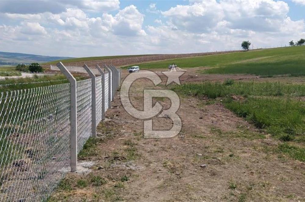 ALT YAPI VE ÇEVRE DÜZENLEMESİ YAPILMIŞ 500 m2 HOBİ BAHÇESİ