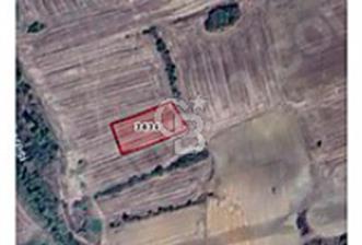 TEKİRDAĞ ŞARKKÖY DE SATILIK 239 M2 DENİZE SIFIR ARSA