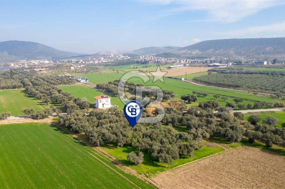 Foça Gerenköy de Satılık 4 Dönüm Tarla