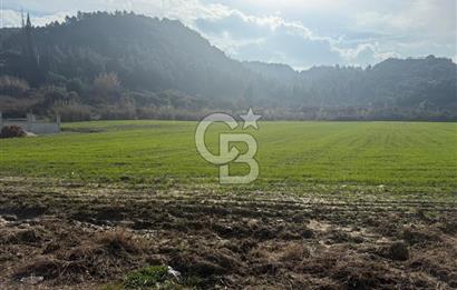 Salihli Caferbey'de Satılık Villa İmarlı Arsa