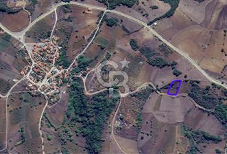 BURSA İNEGÖL DÖMEZ TARLA (2693 M2)