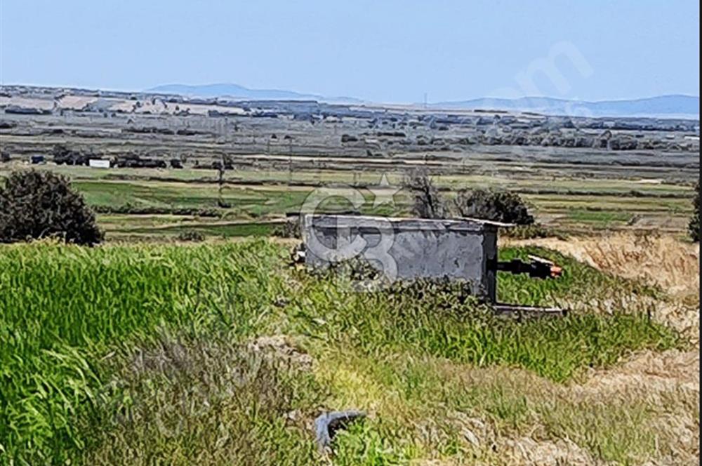 Satılık Tarla Biga Güvemalan