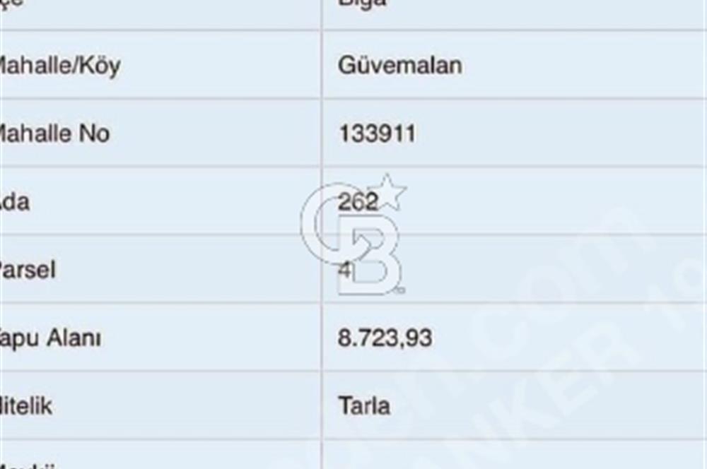 Satılık Tarla Biga Güvemalan