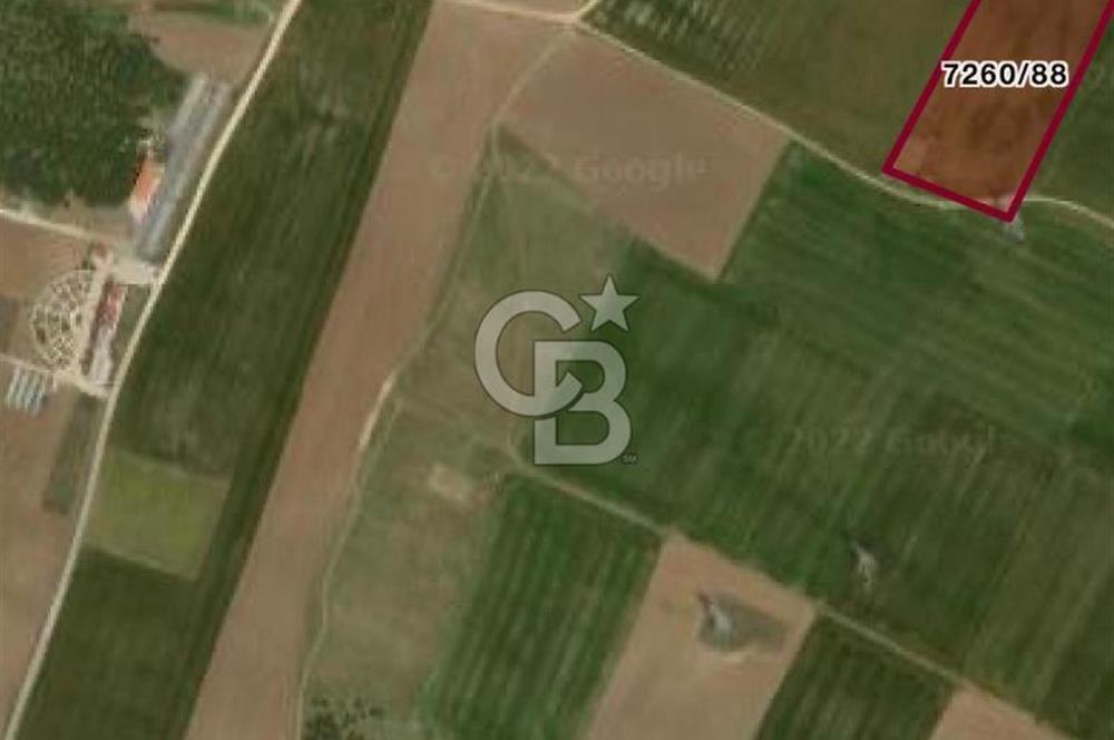 Silivri'de Yerleşim Yerine Yakın Tarla