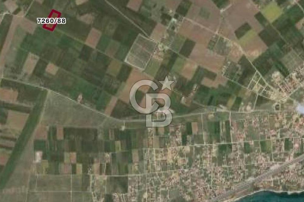 Silivri'de Yerleşim Yerine Yakın Tarla