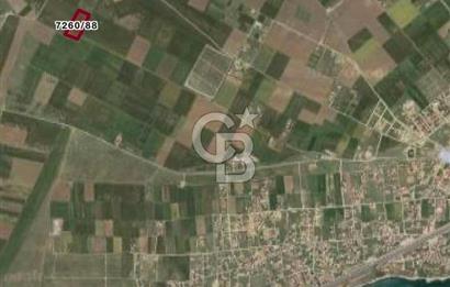 Silivri'de Yerleşim Yerine Yakın Tarla