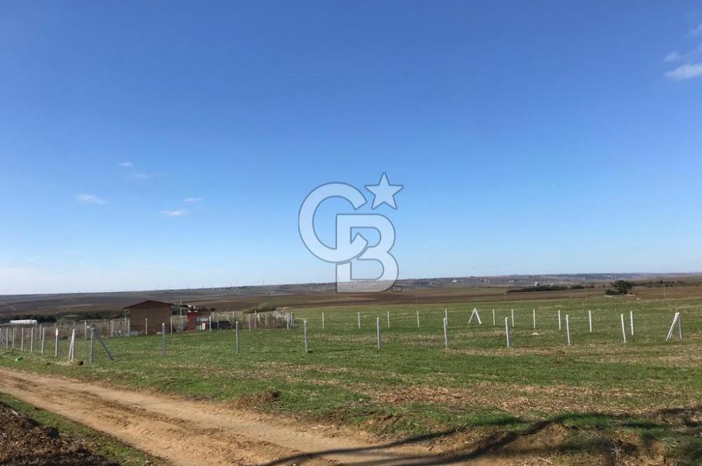 Silivri'de Yerleşim Yerine Yakın Tarla