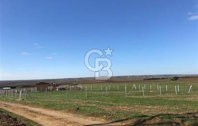 Silivri'de Yerleşim Yerine Yakın Tarla