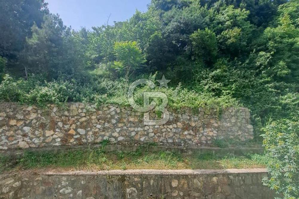 YALOVA SUBAŞI KONUTLARI 3+1 SATILIK DAİRE 