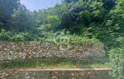 YALOVA SUBAŞI KONUTLARI 3+1 SATILIK DAİRE 