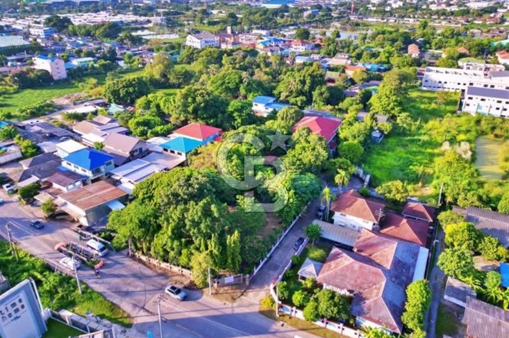 TAYLAND BANGKOK DA SATILIK BAHÇELİ VİLLA