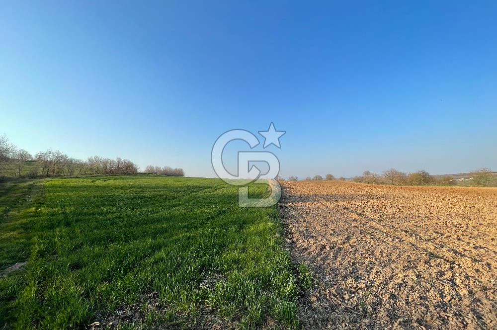 Kırklareli Lüleburgaz Celaliye 14.900 m2 Satılık Tarla
