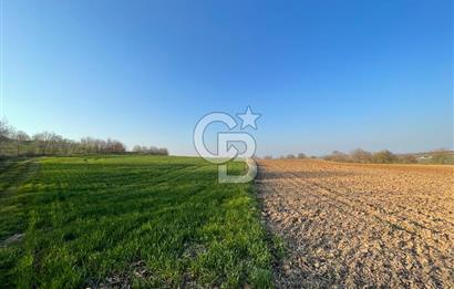 Kırklareli Lüleburgaz Celaliye 14.900 m2 Satılık Tarla