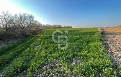 Kırklareli Lüleburgaz Celaliye 14.900 m2 Satılık Tarla