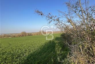 Kırklareli Lüleburgaz Celaliye 14.900 m2 Satılık Tarla