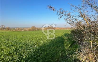 Kırklareli Lüleburgaz Celaliye 14.900 m2 Satılık Tarla