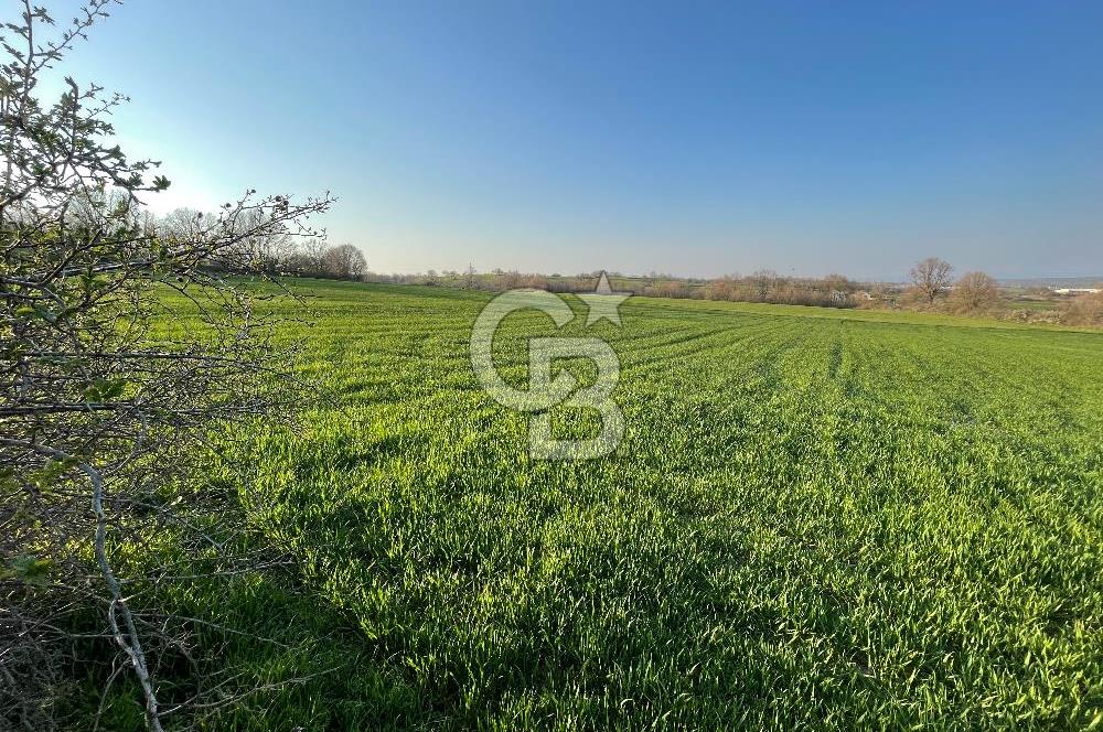Kırklareli Lüleburgaz Celaliye 14.900 m2 Satılık Tarla
