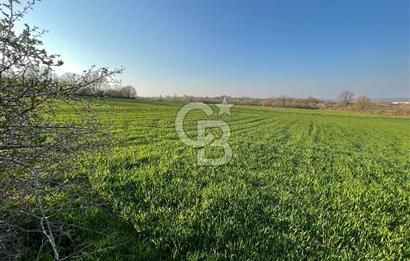 Kırklareli Lüleburgaz Celaliye 14.900 m2 Satılık Tarla
