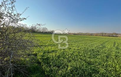 Kırklareli Lüleburgaz Celaliye 14.900 m2 Satılık Tarla