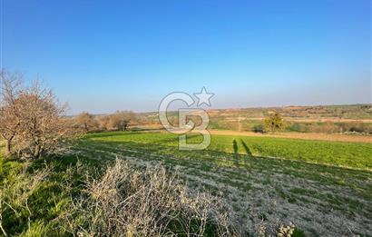 Kırklareli Lüleburgaz Celaliye 14.900 m2 Satılık Tarla