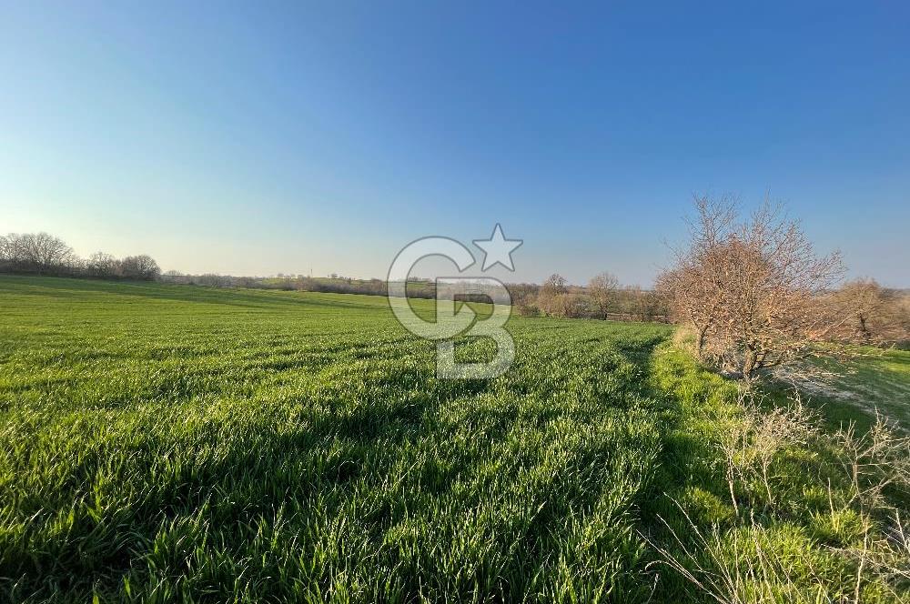 Kırklareli Lüleburgaz Celaliye 14.900 m2 Satılık Tarla