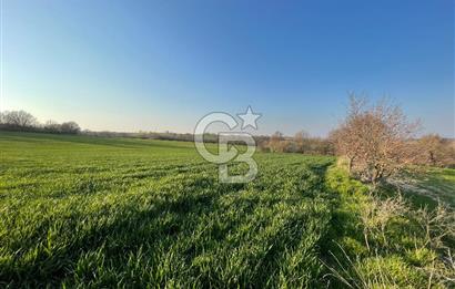 Kırklareli Lüleburgaz Celaliye 14.900 m2 Satılık Tarla