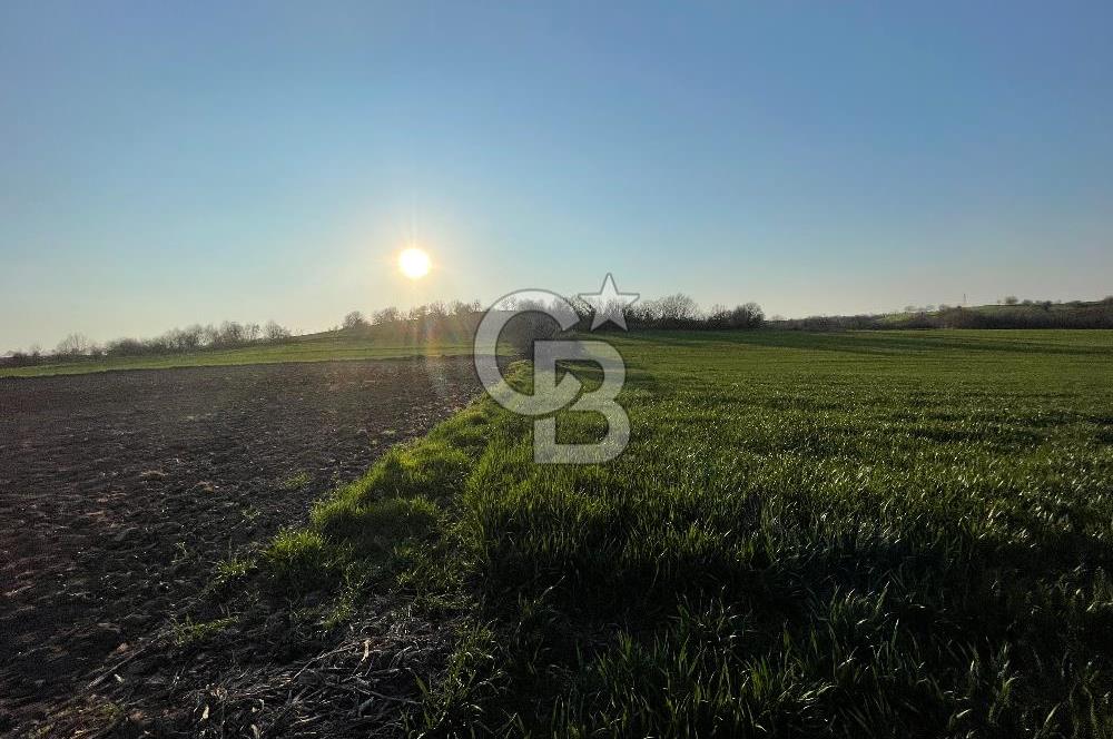 Kırklareli Lüleburgaz Celaliye 14.900 m2 Satılık Tarla