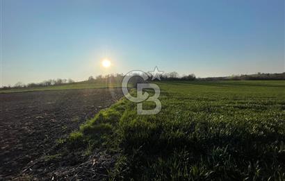 Kırklareli Lüleburgaz Celaliye 14.900 m2 Satılık Tarla
