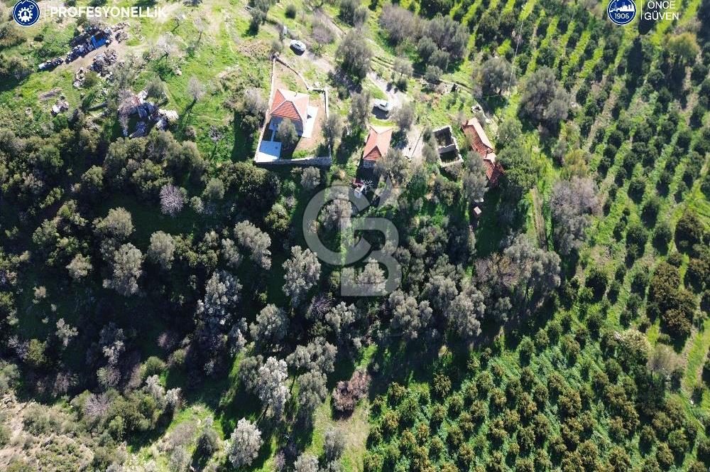 Karaburun Badembükü'nde Deniz ve Doğa Manzaralı Ev ve Bahçesi