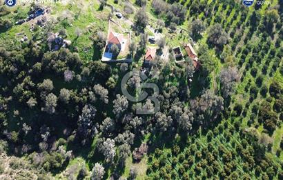 Karaburun Badembükü'nde Deniz ve Doğa Manzaralı Ev ve Bahçesi