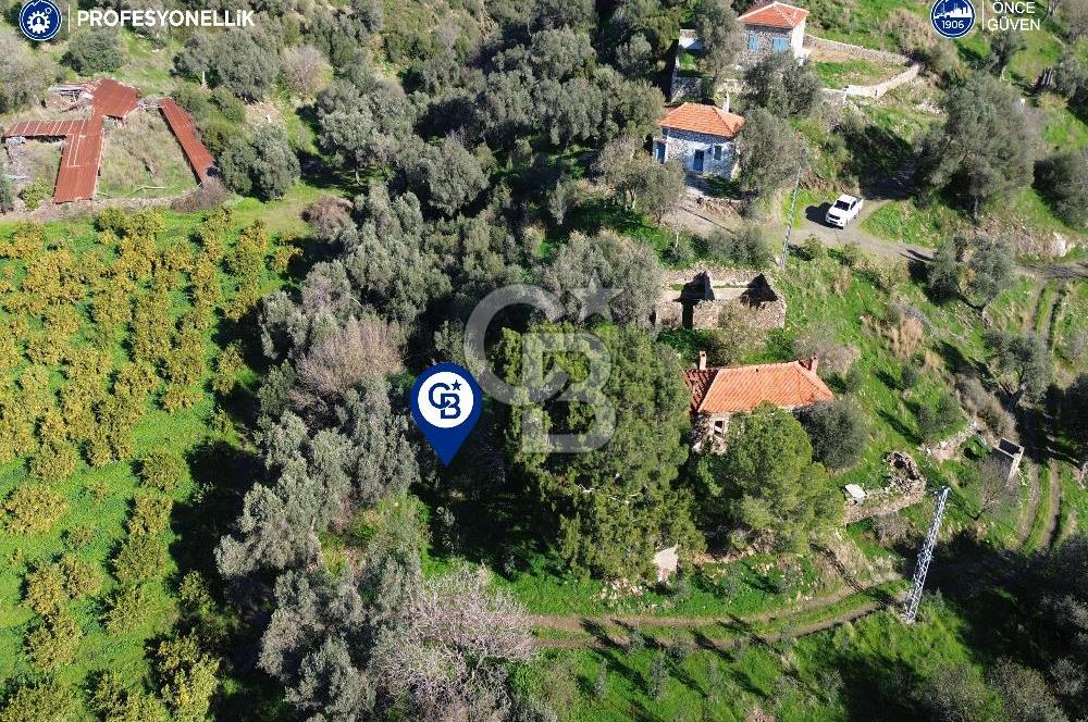 Karaburun Badembükü'nde Deniz ve Doğa Manzaralı Ev ve Bahçesi