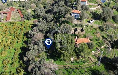 Karaburun Badembükü'nde Deniz ve Doğa Manzaralı Ev ve Bahçesi