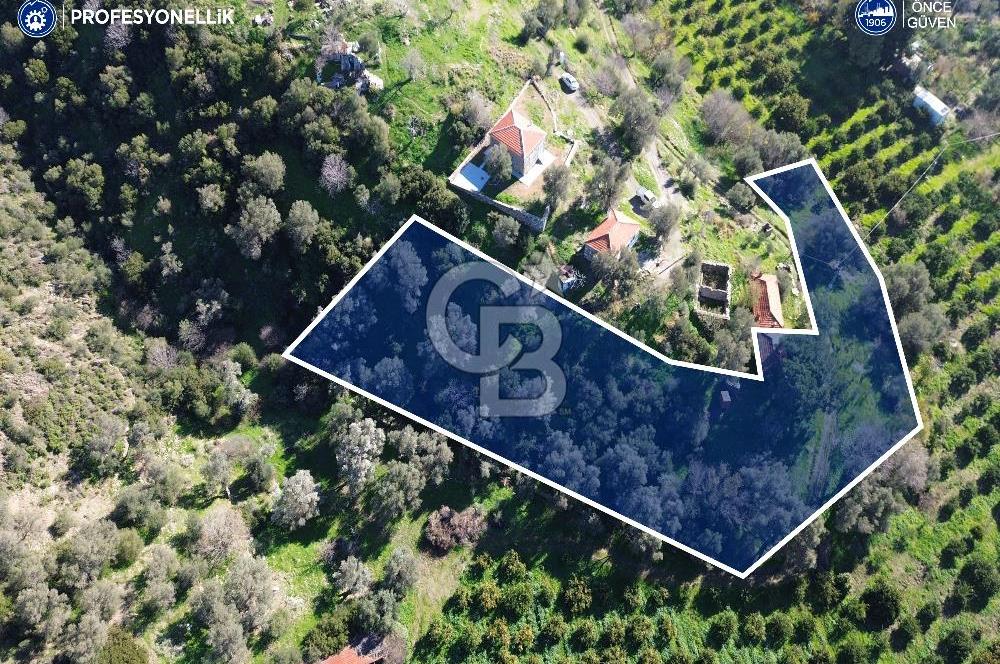 Karaburun Badembükü'nde Deniz ve Doğa Manzaralı Ev ve Bahçesi