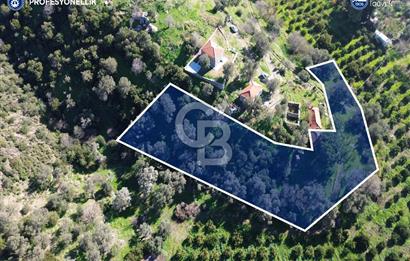 Karaburun Badembükü'nde Deniz ve Doğa Manzaralı Ev ve Bahçesi