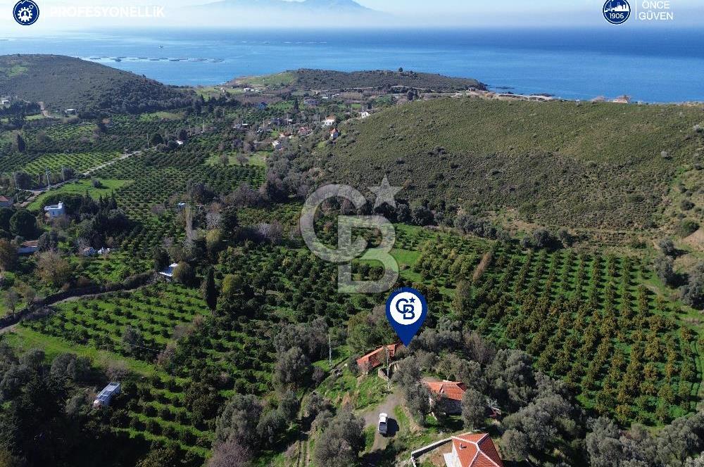 Karaburun Badembükü'nde Deniz ve Doğa Manzaralı Ev ve Bahçesi