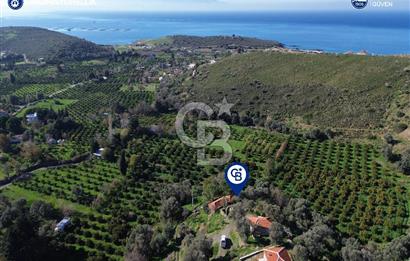 Karaburun Badembükü'nde Deniz ve Doğa Manzaralı Ev ve Bahçesi