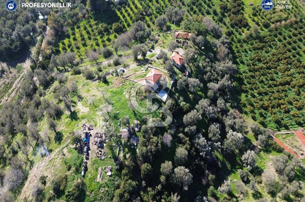 Karaburun Badembükü'nde Deniz ve Doğa Manzaralı Ev ve Bahçesi