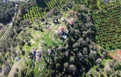 Karaburun Badembükü'nde Deniz ve Doğa Manzaralı Ev ve Bahçesi