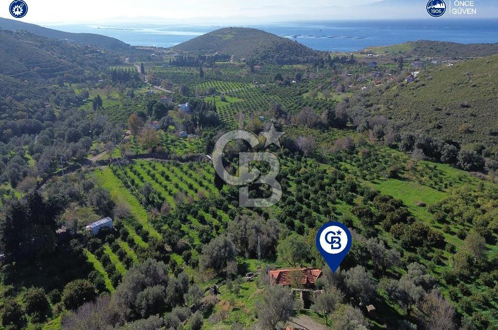 Karaburun Badembükü'nde Deniz ve Doğa Manzaralı Ev ve Bahçesi