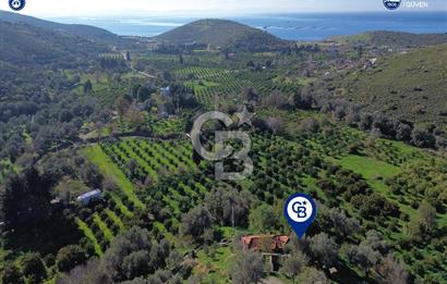Karaburun Badembükü'nde Deniz ve Doğa Manzaralı Ev ve Bahçesi