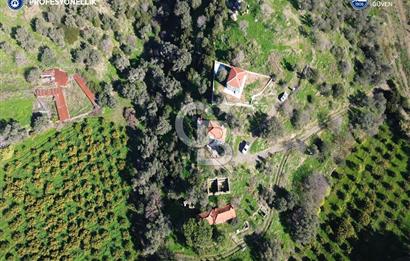Karaburun Badembükü'nde Deniz ve Doğa Manzaralı Ev ve Bahçesi