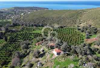 Karaburun Badembükü'nde Deniz ve Doğa Manzaralı Ev ve Bahçesi