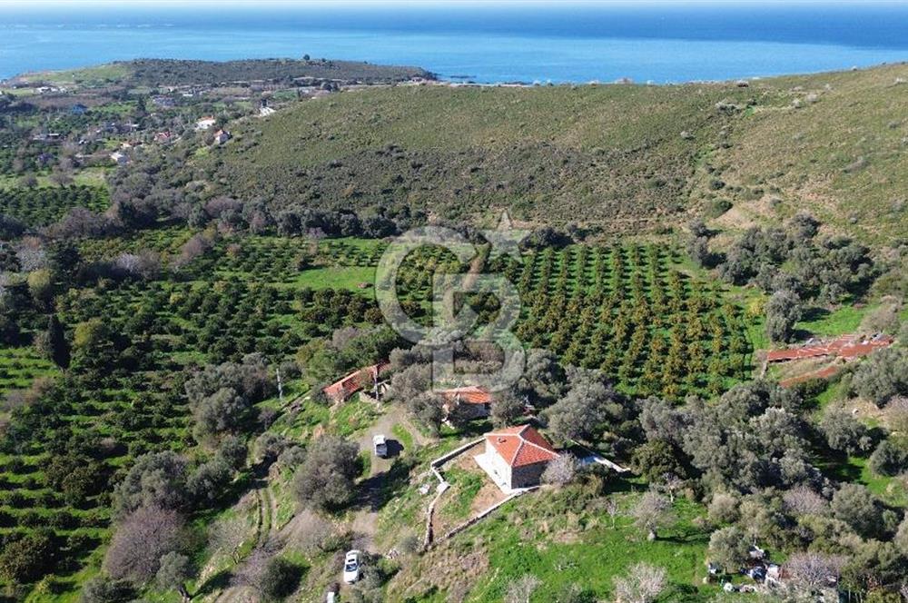 Karaburun Badembükü'nde Deniz ve Doğa Manzaralı Ev ve Bahçesi