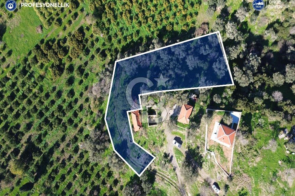 Karaburun Badembükü'nde Deniz ve Doğa Manzaralı Ev ve Bahçesi