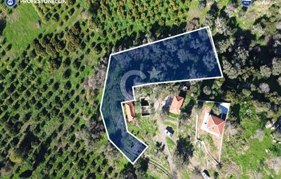 Karaburun Badembükü'nde Deniz ve Doğa Manzaralı Ev ve Bahçesi
