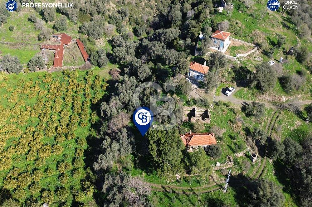Karaburun Badembükü'nde Deniz ve Doğa Manzaralı Ev ve Bahçesi
