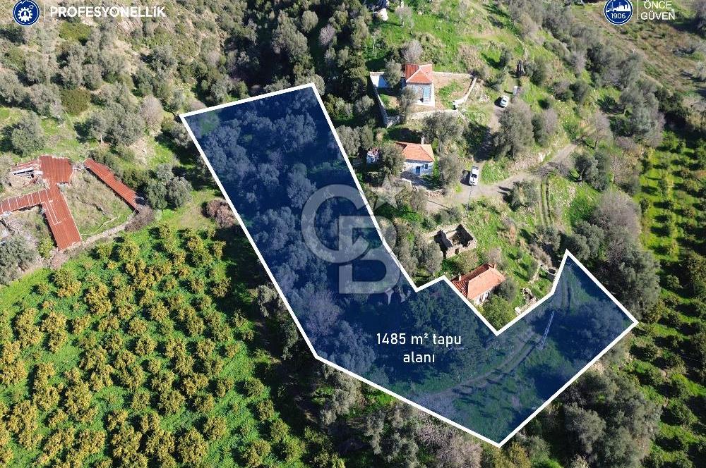 Karaburun Badembükü'nde Deniz ve Doğa Manzaralı Ev ve Bahçesi