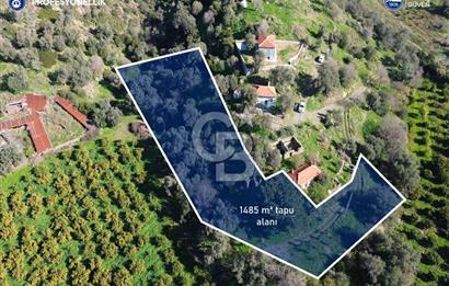 Karaburun Badembükü'nde Deniz ve Doğa Manzaralı Ev ve Bahçesi