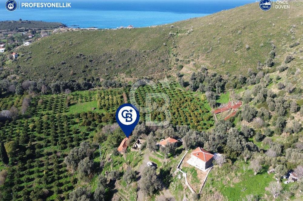 Karaburun Badembükü'nde Deniz ve Doğa Manzaralı Ev ve Bahçesi
